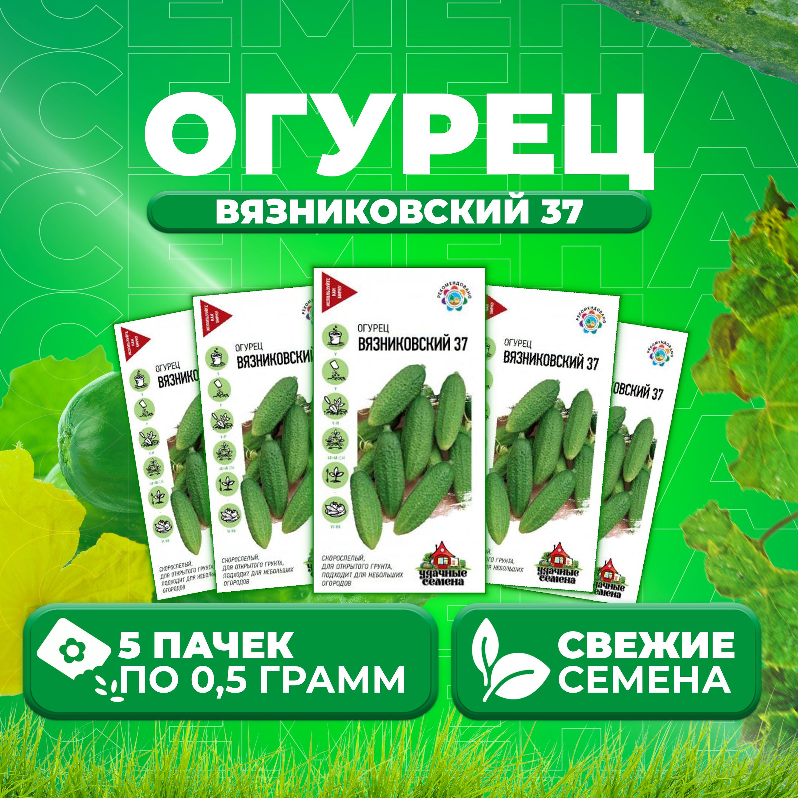 

Семена огурец Вязниковский 37 Удачные семена 10002421-5 5 уп., 10002421