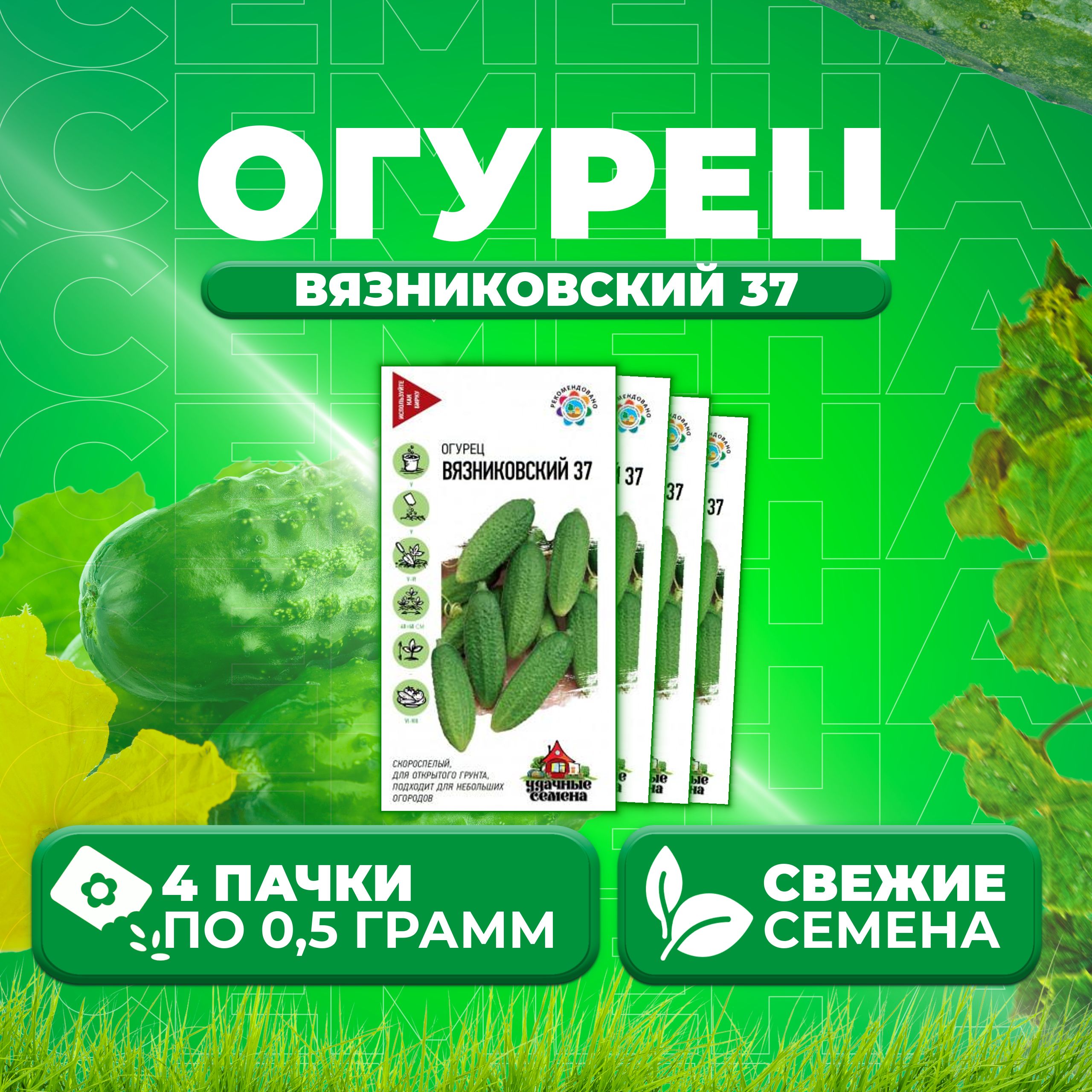 

Семена огурец Вязниковский 37 Удачные семена 10002421-4 4 уп., 10002421