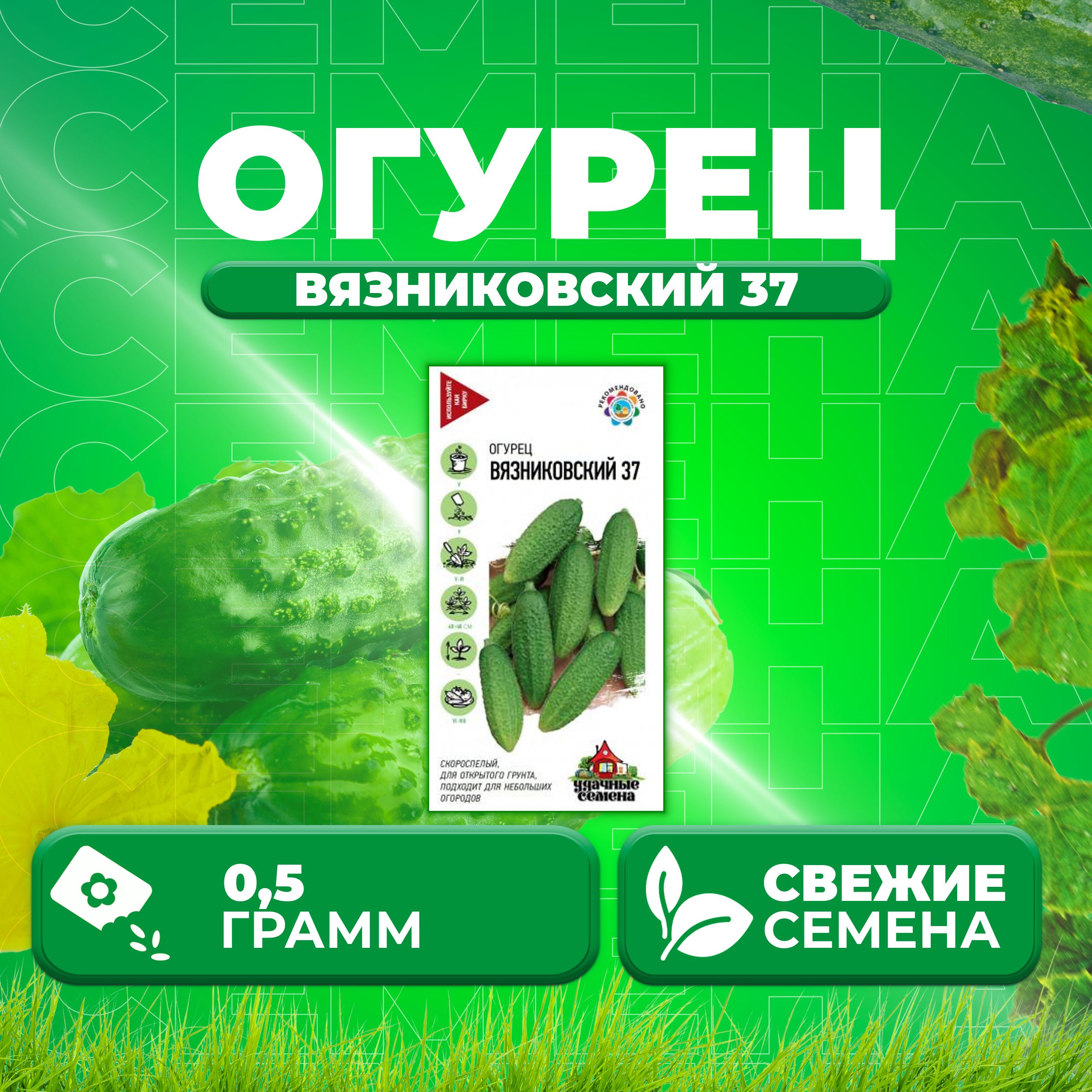 

Семена огурец Вязниковский 37 Удачные семена 10002421-1 1 уп., 10002421