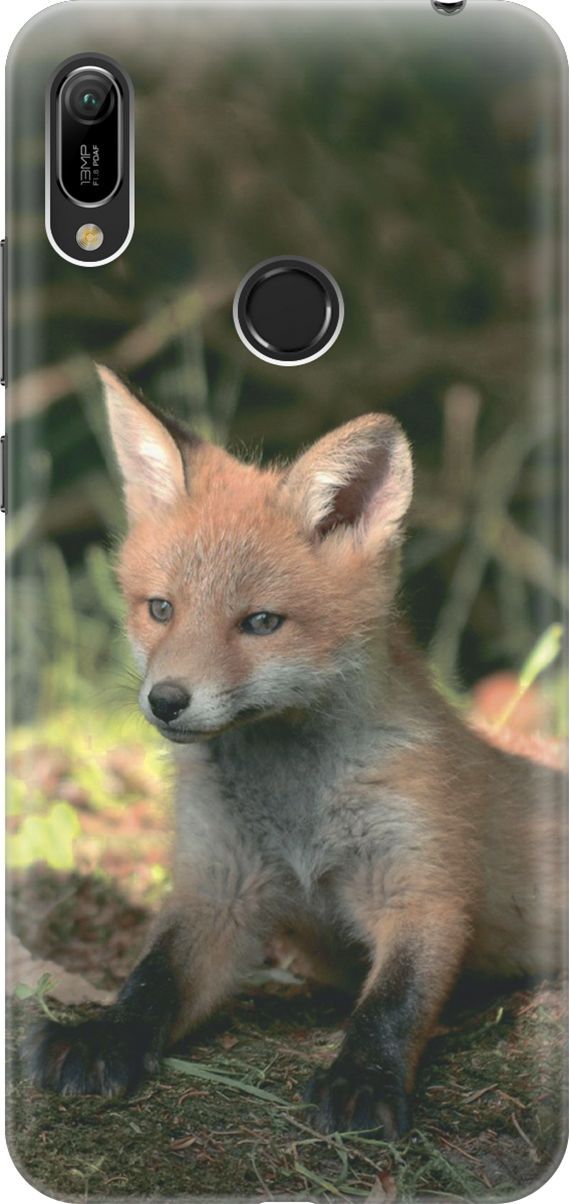

Чехол на Honor 8A/8A Pro/Huawei Y6 (2019)/Y6 Prime (2019) "Сонливый лисенок", Бежевый;зеленый, 6027
