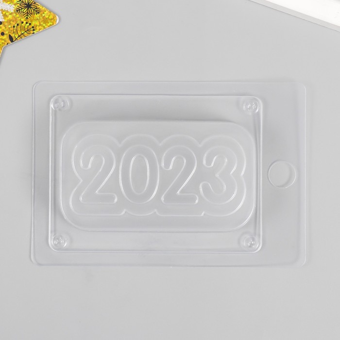 

Пластиковая форма 2023 10,5х6 см, 95гр, Прозрачный