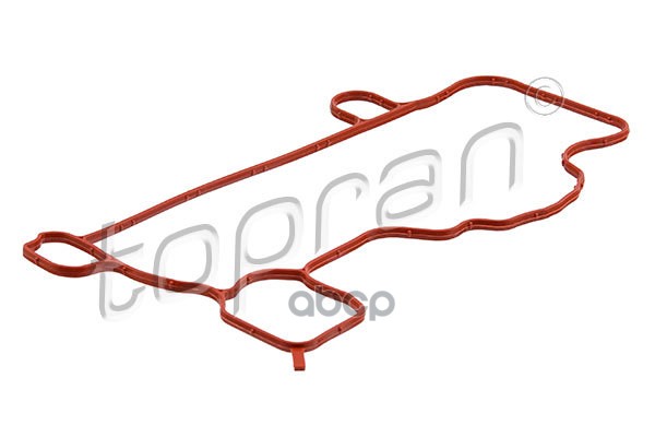 Прокладкa Клапанной Крышки (Замена Для Hp-116375786) topran арт. 116375001