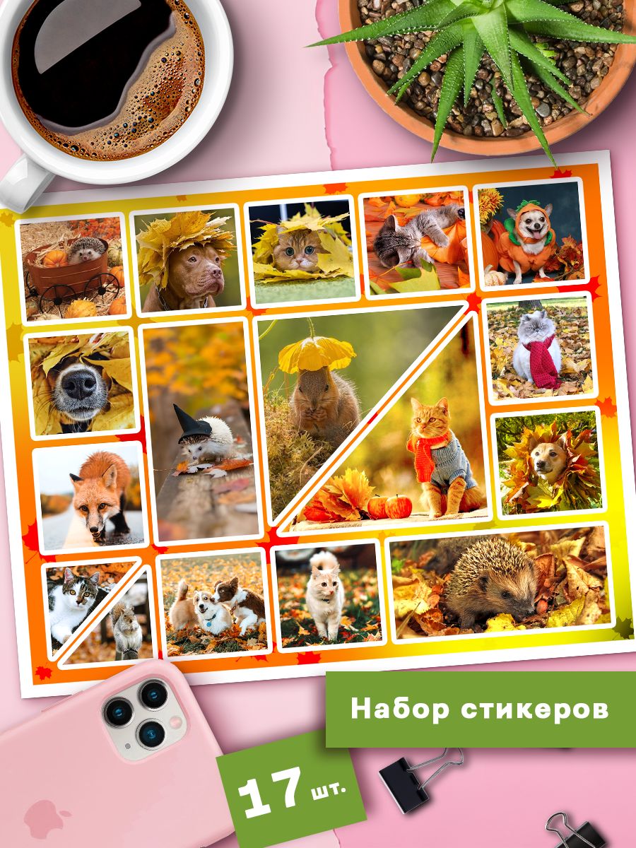 

Наклейки Клейкие Наклейки Осеннее настроение SHNA_148_20x25