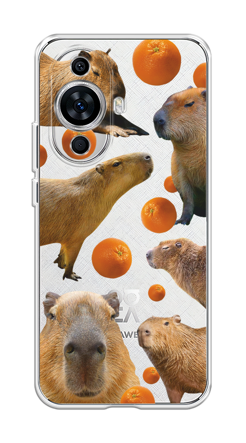 

Чехол на Huawei Nova 11 "Капибара и апельсины", Бежевый;оранжевый, 6121250-1