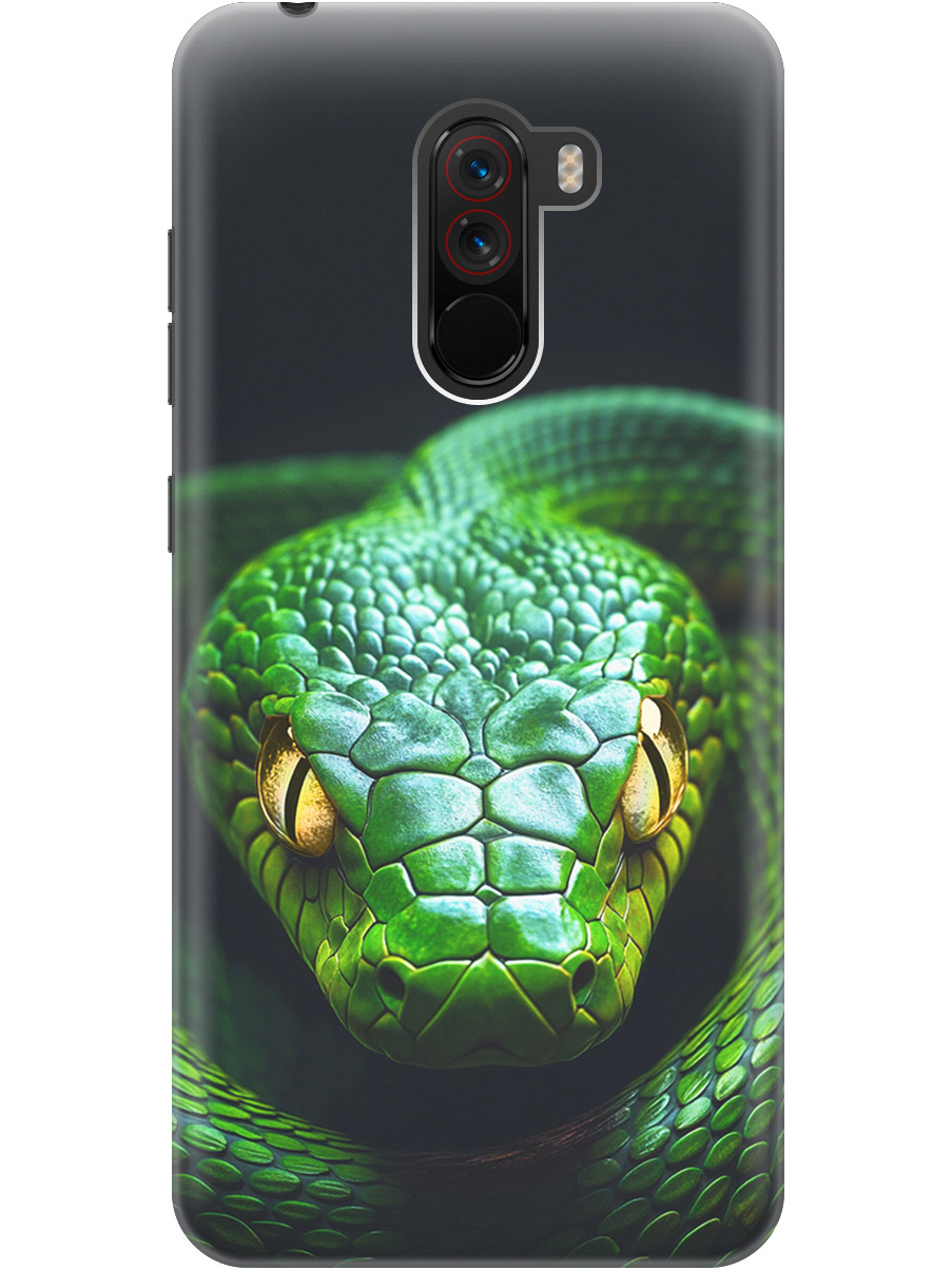 

Силиконовый чехол на Xiaomi Pocophone F1 с принтом "Зеленая змея", Прозрачный;черный;серебристый;зеленый, 719373313
