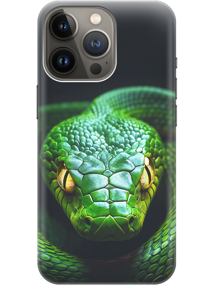 

Силиконовый чехол на Apple iPhone 14 Pro Max с принтом "Зеленая змея", Прозрачный;черный;серебристый;зеленый, 745400813