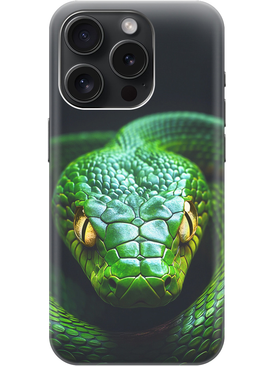 

Силиконовый чехол на Apple iPhone 15 Pro с принтом "Зеленая змея", Прозрачный;черный;серебристый;зеленый, 775148013
