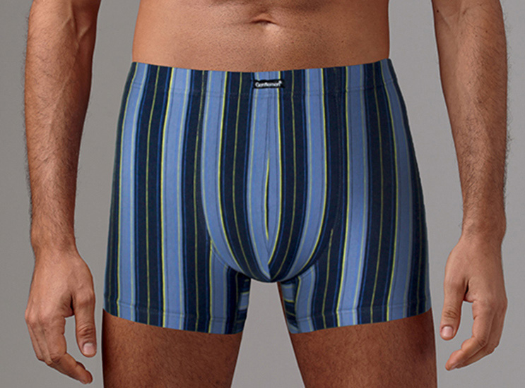 

Трусы мужские Gentlemen Шорты синие XL, Синий, Шорты