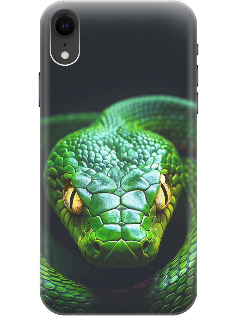 

Силиконовый чехол на Apple iPhone XR с принтом "Зеленая змея", Прозрачный;черный;серебристый;зеленый, 719086313