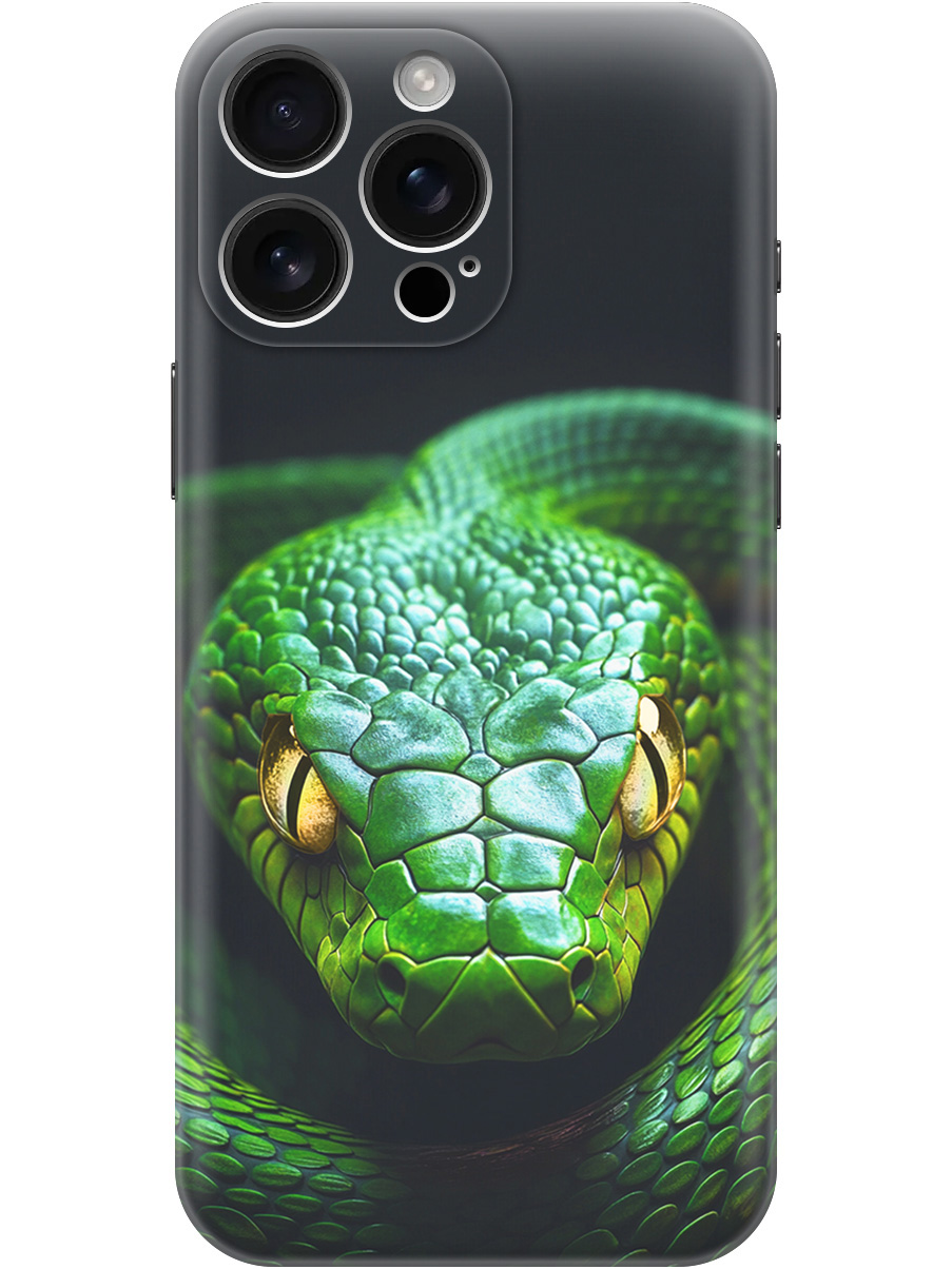 

Силиконовый чехол на Apple iPhone 16 Pro Max с принтом "Зеленая змея", Прозрачный;черный;серебристый;зеленый, 785198313