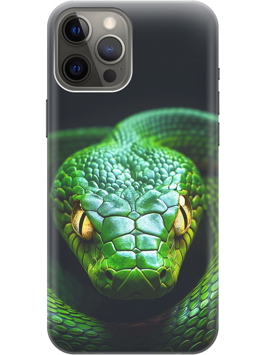 

Силиконовый чехол на Apple iPhone 12 Pro Max с принтом "Зеленая змея", Прозрачный;черный;серебристый;зеленый, 723374213