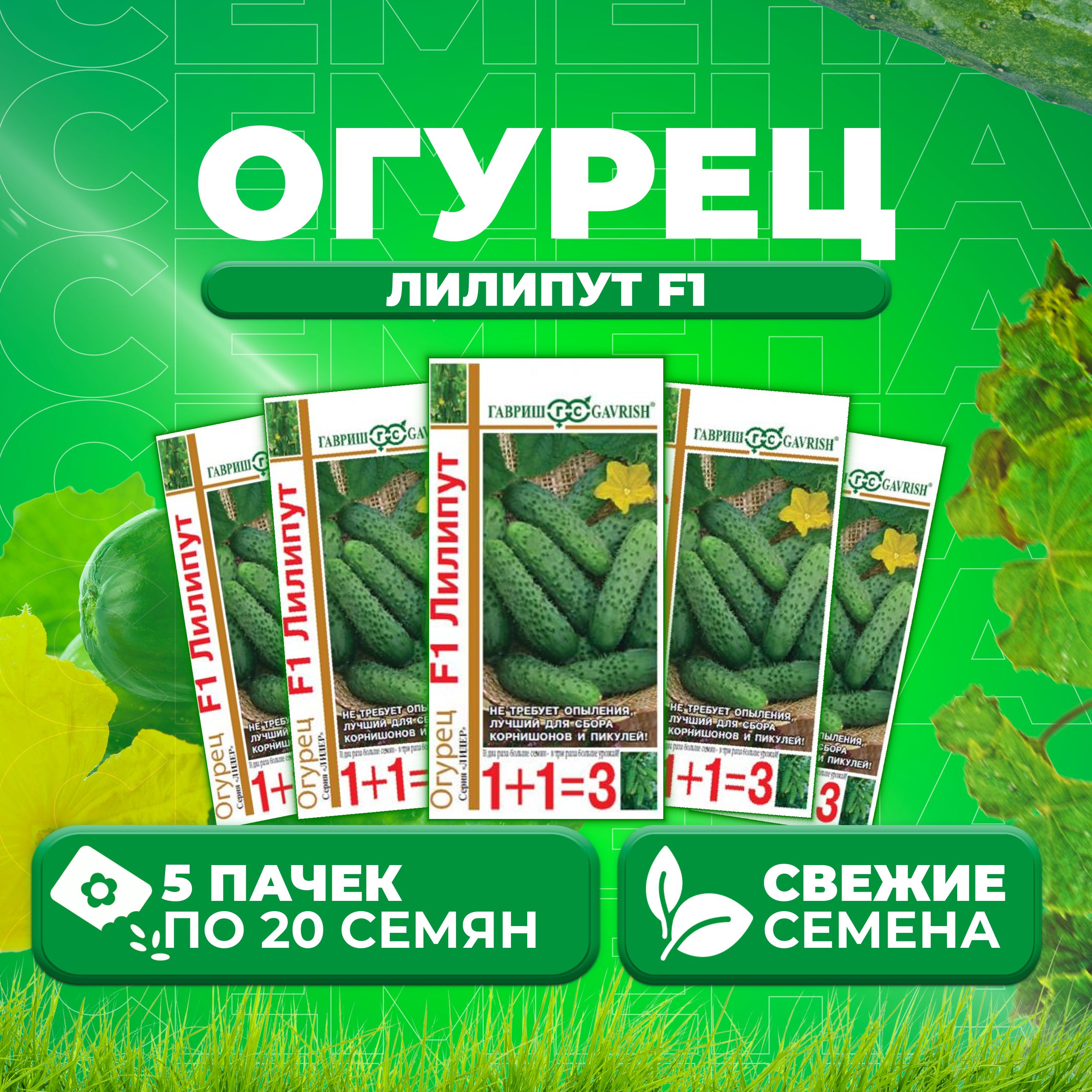 Огурцы Семена Отзывы Фото