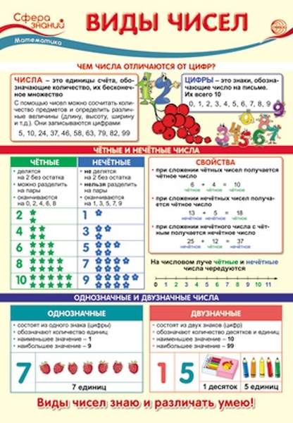 

Плакат А3 "Виды чисел"