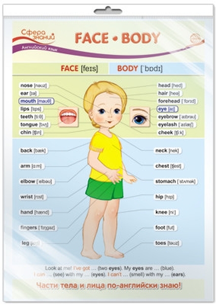 

Плакат А3 "Face. Body", в пакете
