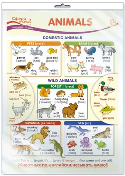 

Плакат А3 "Animals", в пакете