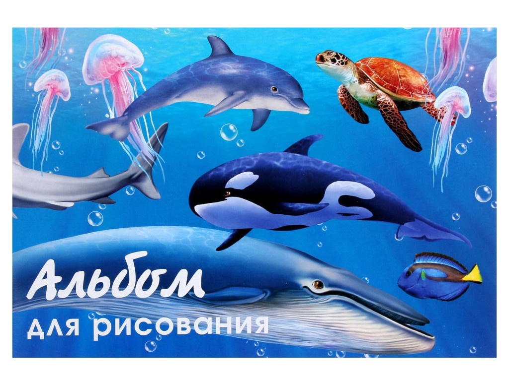 

Альбом для рисования Calligrata Морской мир А4 40 листов 5666541, Морской мир