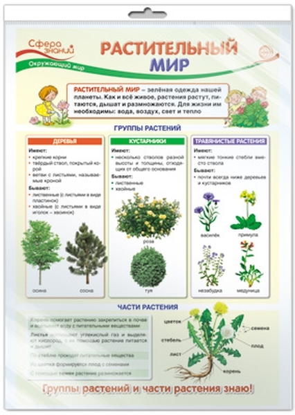 

Плакат А3 "Растительный мир" (в пакете)
