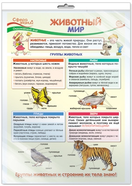 

Плакат А3 "Животный мир" (в пакете)