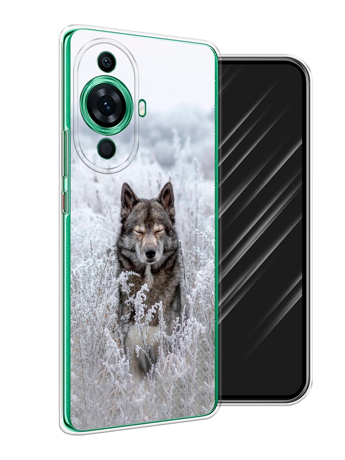 

Чехол Awog на Huawei Nova 11 Pro "Волк в поле", Белый;черный, 6121350-1