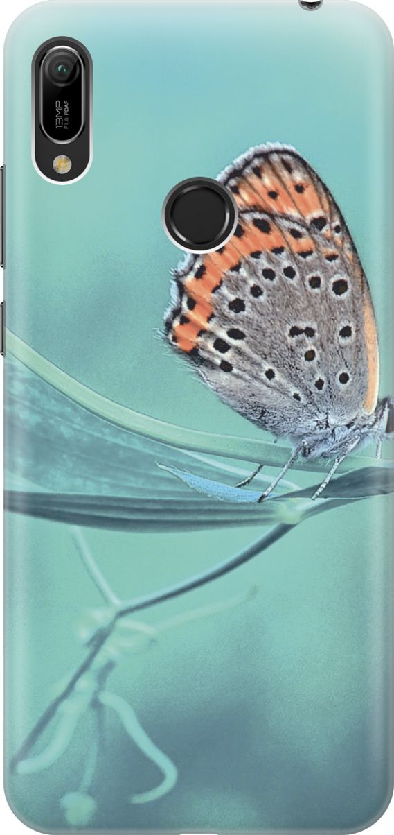 

Чехол на Honor 8A/8A Pro/Huawei Y6 (2019)/Y6 Prime (2019) "Бабочка на листке", 3422