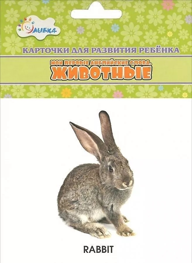 

Животные. Учебные карточки