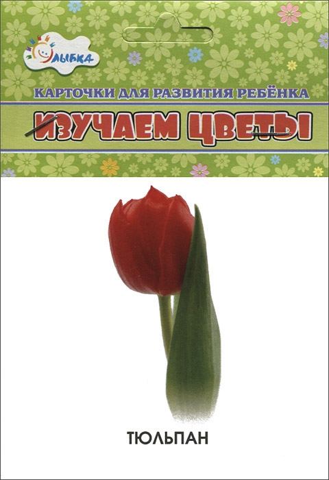 

Изучаем цветы. Учебные карточки