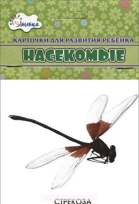 

Насекомые. Учебные карточки