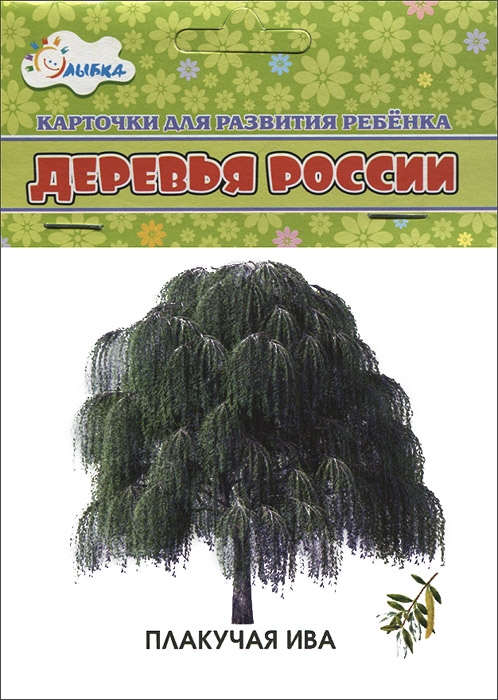 

Деревья России. Учебные карточки