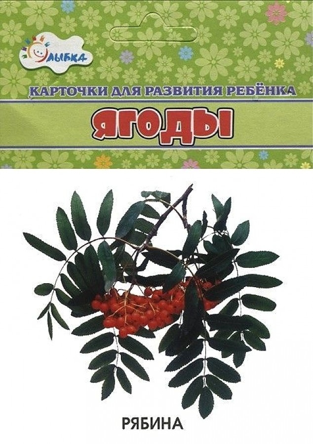 

Ягоды. Учебные карточки
