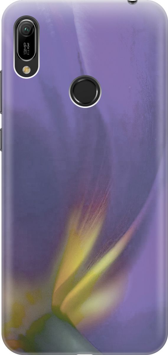 

Чехол на Honor 8A/8A Pro/Huawei Y6 (2019)/Y6 Prime (2019) "Фиолетовая фиалка", Желтый;фиолетовый, 2786