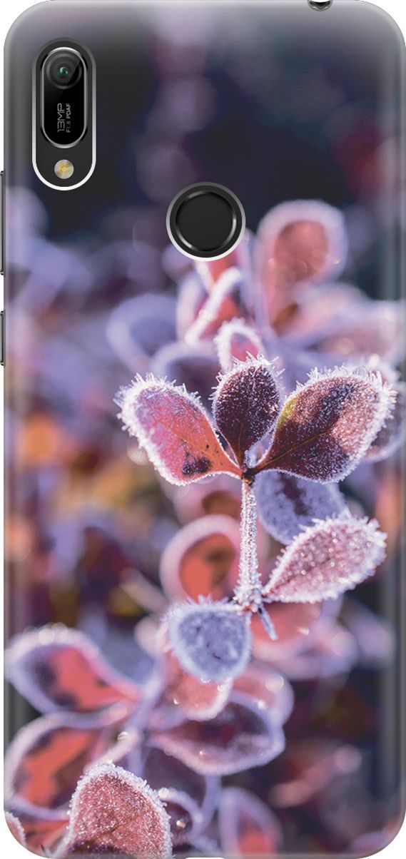 

Чехол на Honor 8A/8A Pro/Huawei Y6 (2019)/Y6 Prime (2019) "Иней на листочках", Розовый;черный, 2786
