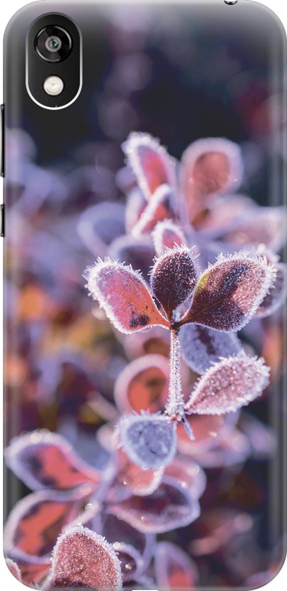 

Чехол на Honor 8S/Huawei Y5 (2019) "Иней на листочках", Розовый;черный, 2783