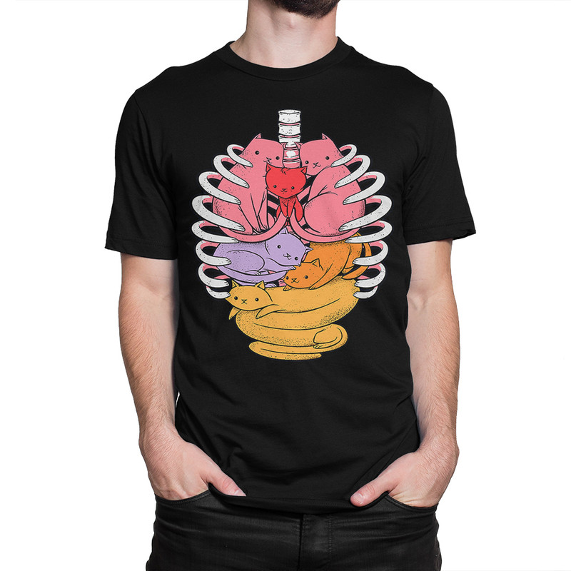 

Футболка мужская Dream Shirts Кошачья Анатомия черная XL, Черный, Кошачья Анатомия
