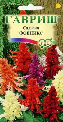 

Семена. Сальвия "Феникс" (вес: 0,05 г)