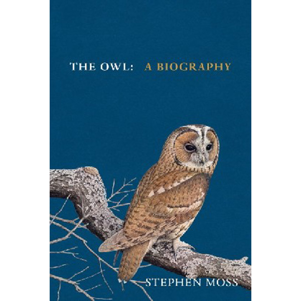 

The Owl / Moss Stephen