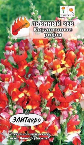 

Семена. Львиный зев карликовый "Кораловые рифы", однолетник (вес: 0,02 г)