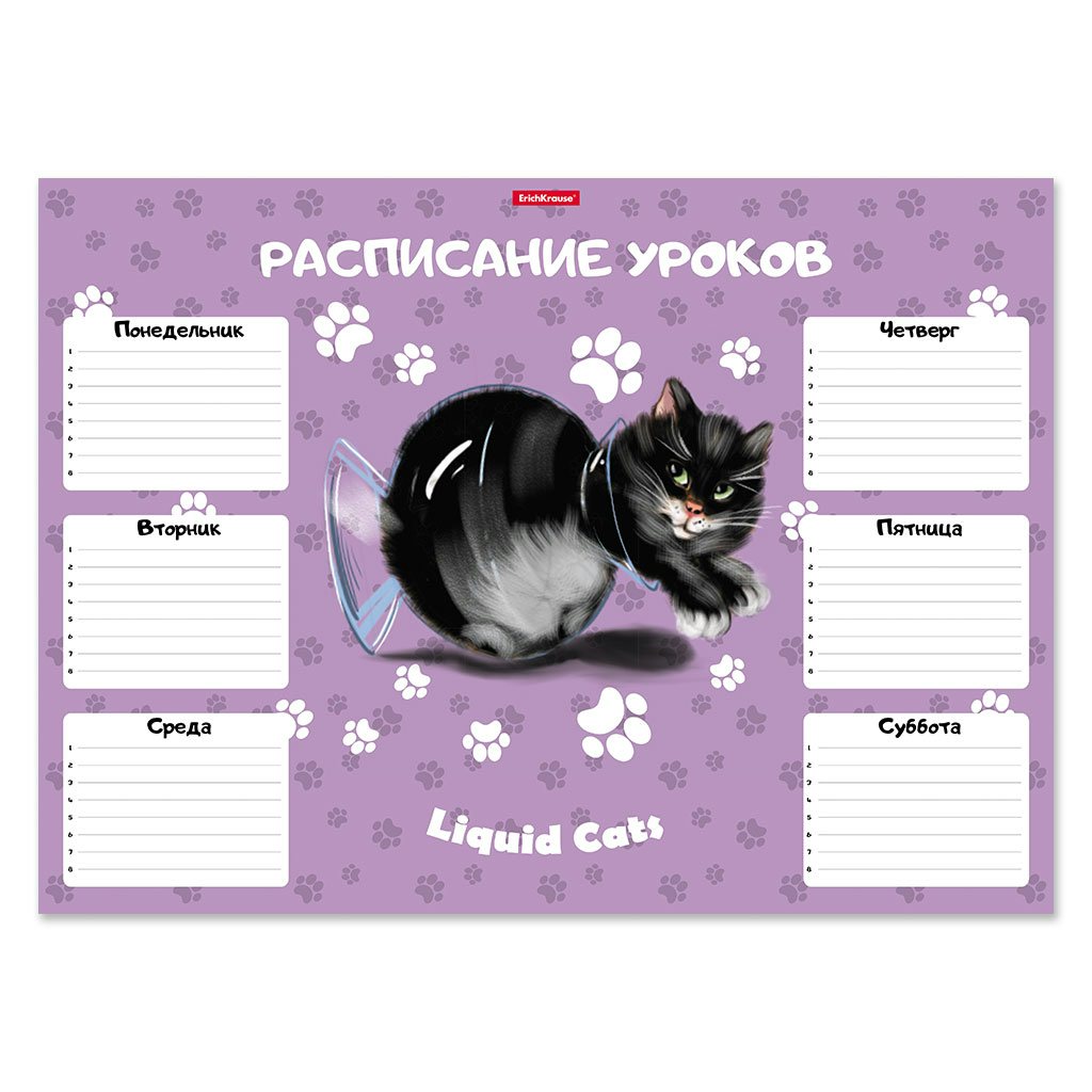 

Расписание ErichKrause Жидкие коты картон 170г/м2 50/500 А3, Фиолетовый, 1836588