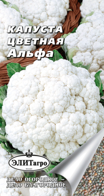 

Семена. Капуста цветная "Альфа" (вес: 0,3 г)
