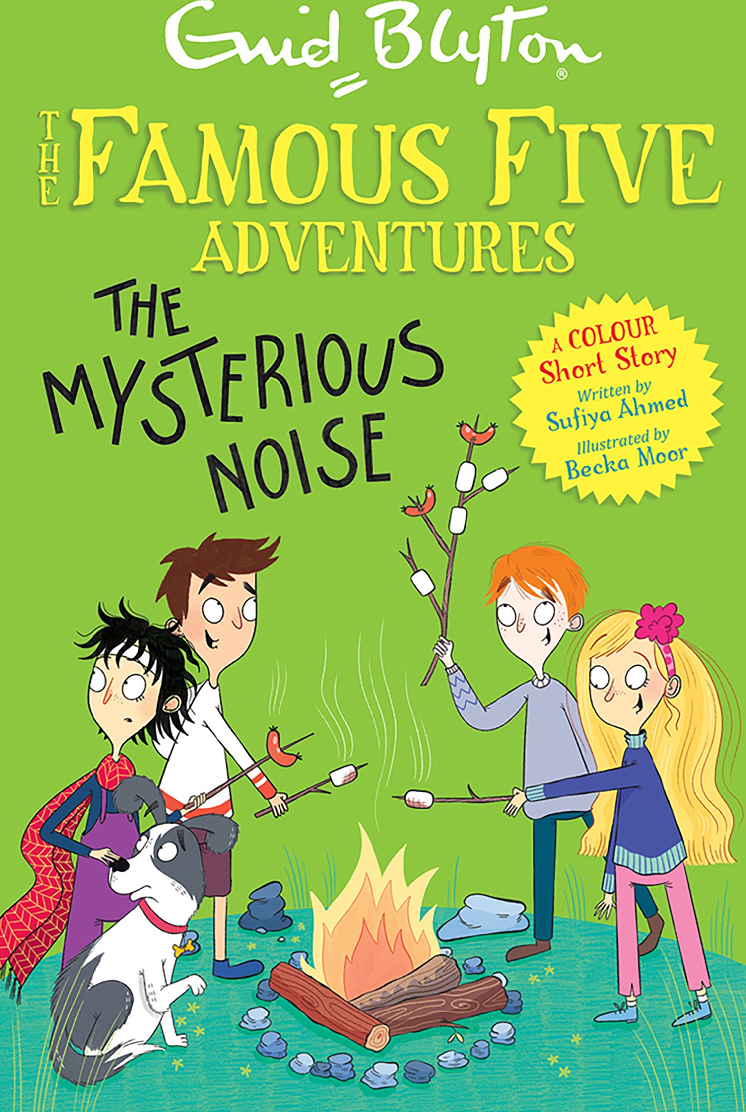 

The Mysterious Noise