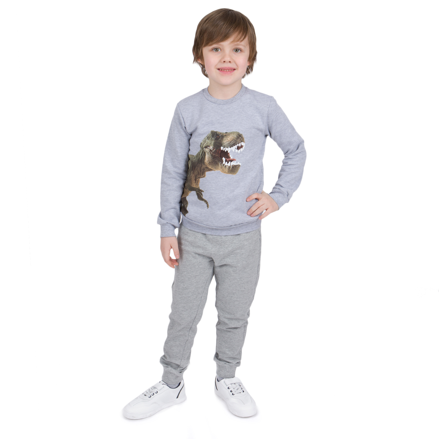 

Джемпер Leader Kids Динозавр серый р.116, GL001025969