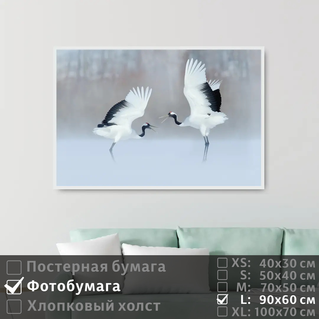 

Постер на фотобумаге ПолиЦентр Два аиста в снежном лесу 90х60 см, ДваАистаВСнежномЛесу