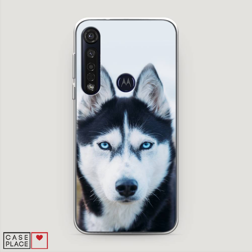

Чехол на Motorola Moto G8 Plus "Хаски 2", Синий;белый, 241450-1
