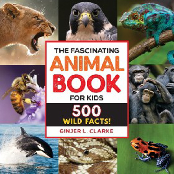 

The Fascinating Animal Book for Kids: 500 Wild Facts! / Clarke Ginjer