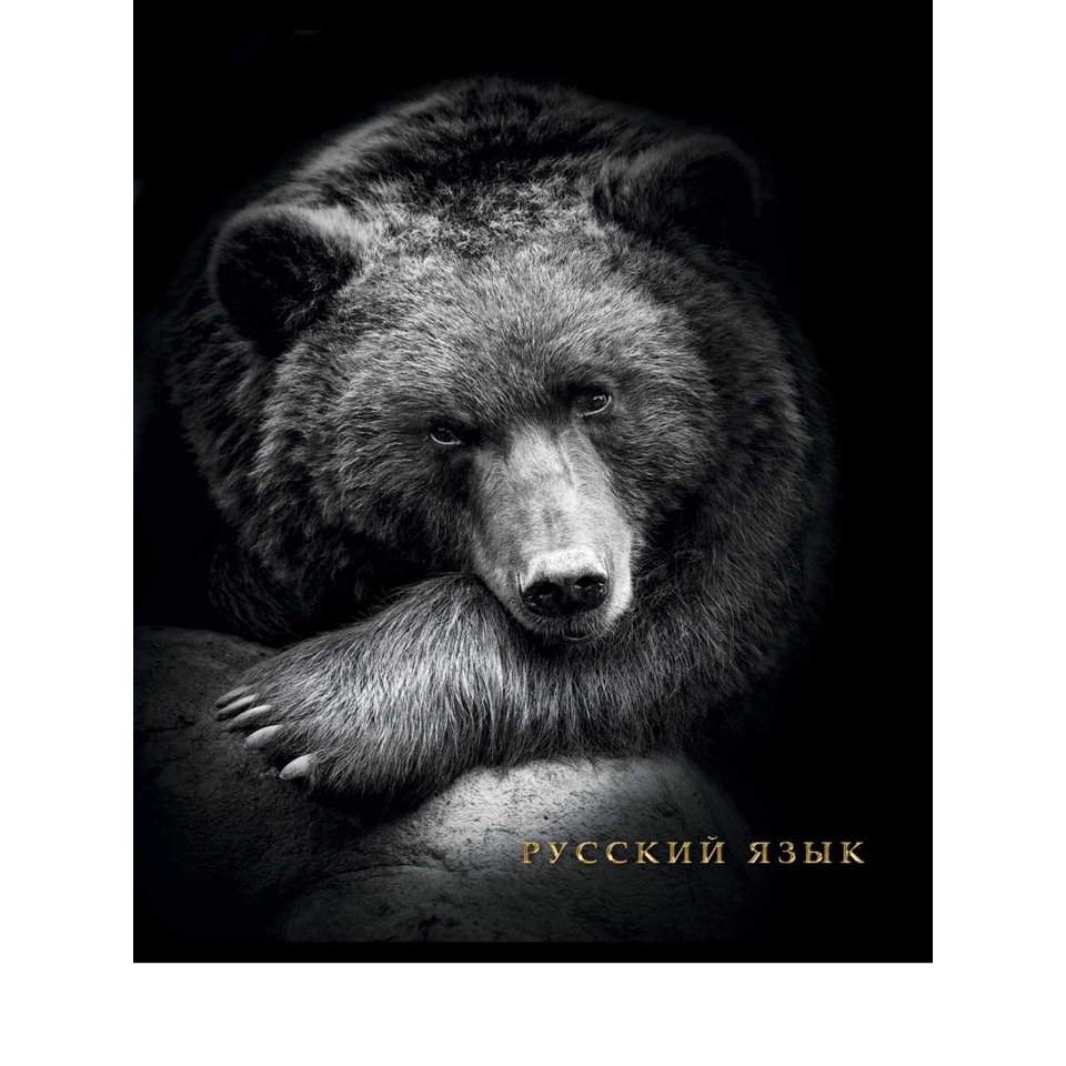 

Тетрадь предметная Проф-Пресс линейка Blacksoft Русский язык тиснение фольгой 48л А5, 1835261