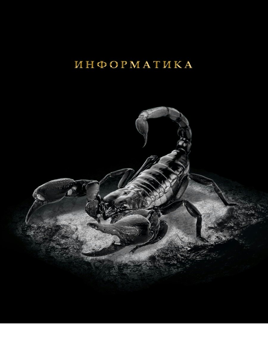 

Тетрадь предметная Проф-Пресс клетка Blacksoft Информатика тиснение фольгой 48л А5, 1835258