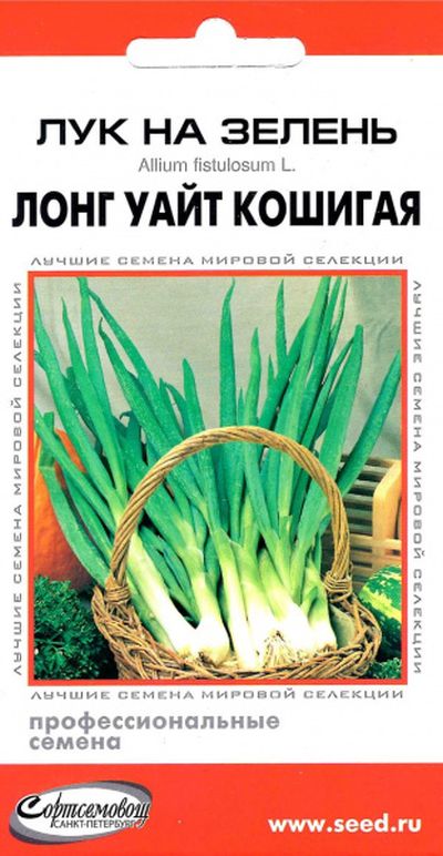 

Лук на зелень Лонг Уайт Кошигая