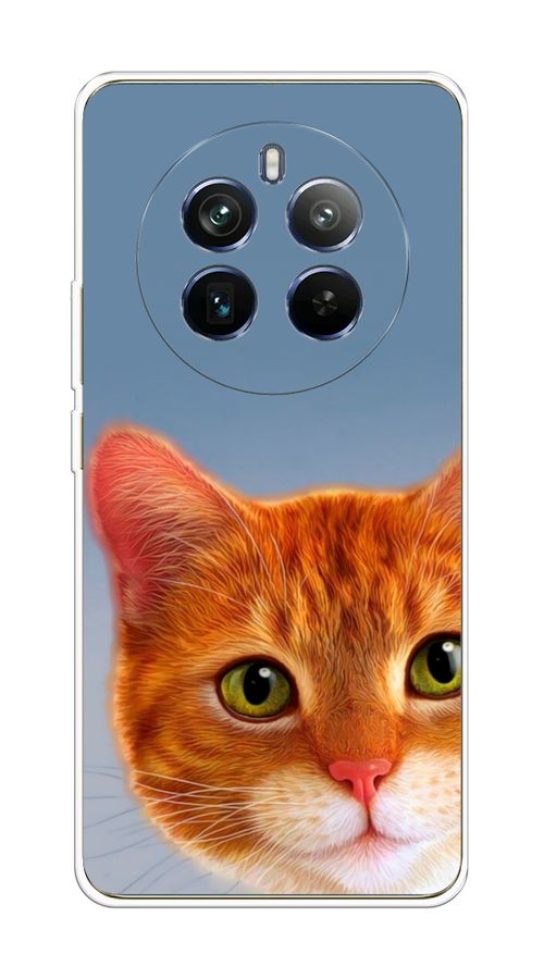 

Чехол на Realme 12+ "Любопытный котик", Коричневый, 2516350-1