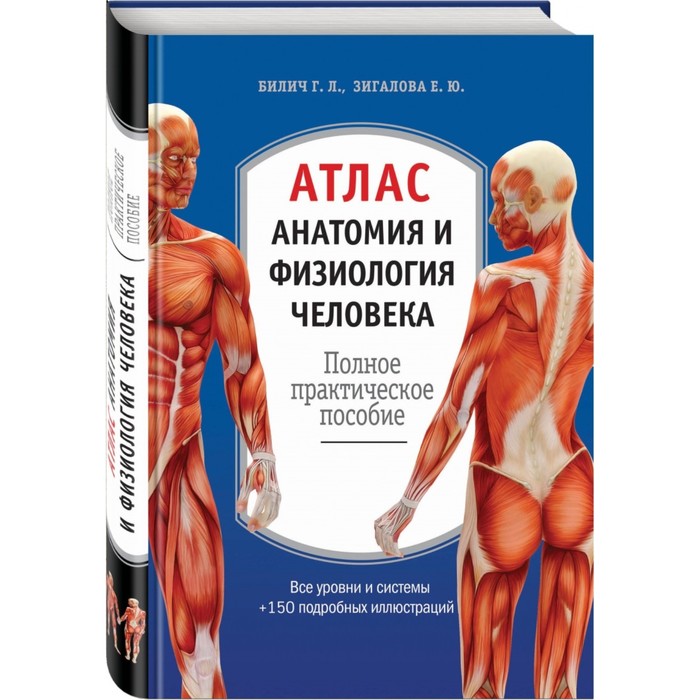 

Атлас. Анатомия и физиология человека: полное практическое пособие. 2-е…, Медицинский атлас