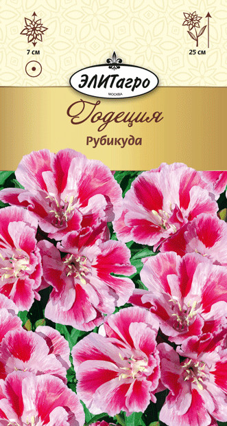 

Семена. Годеция "Рубикуда", однолетник (вес: 0,05 г)