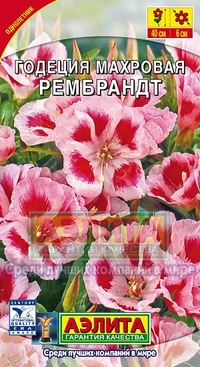 

Семена годеция Аэлита Рембрандт 102245 1 уп.